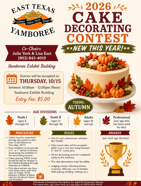 Yamboree Cake Decorating Contest