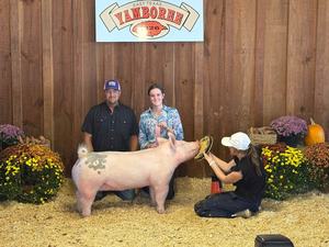 2026 Yamboree Livestock Show Swine Winner Group