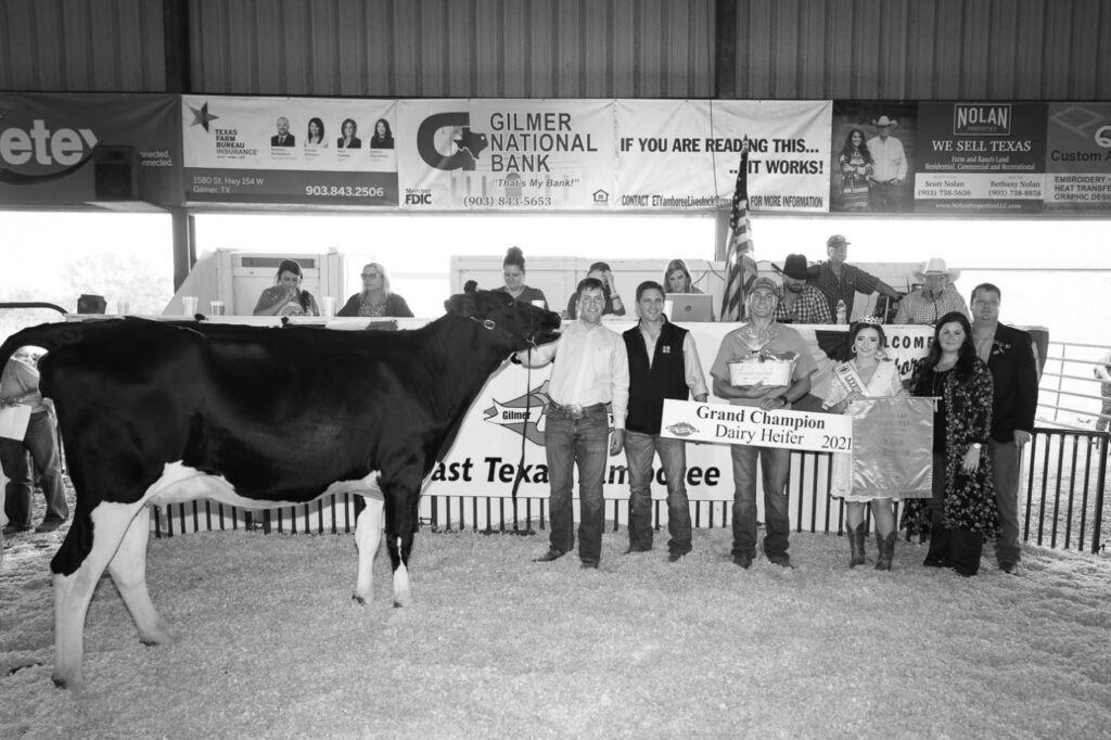 Queen Hannah Jean Henson with the dairy heifer contest grand champion